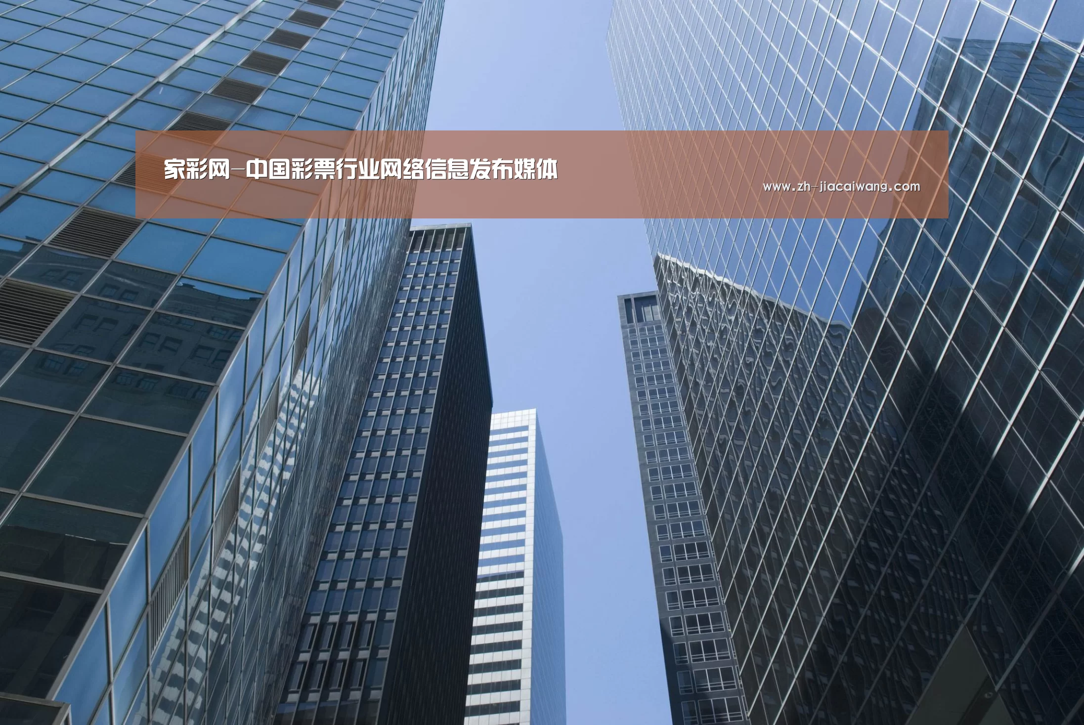 家彩网公司简介 