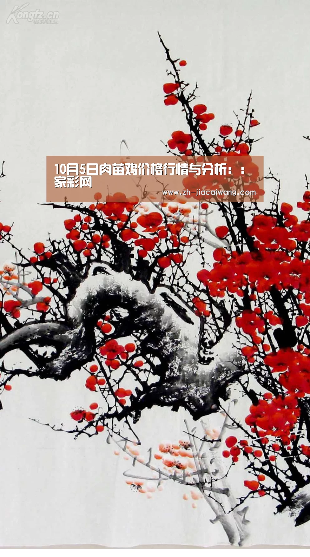 10月5日肉苗鸡价格行情与分析：：家彩网