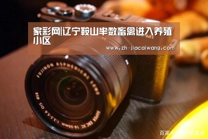家彩网|辽宁鞍山半数畜禽进入养殖小区(图3) 家彩网