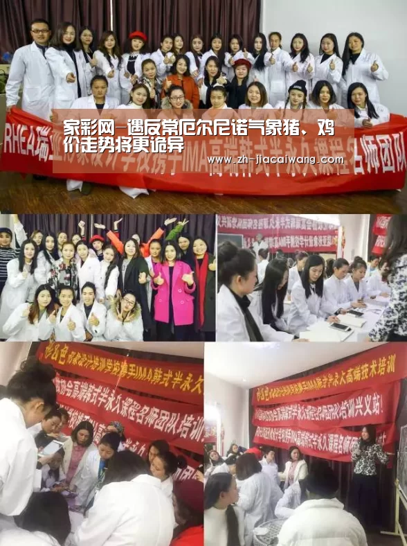 家彩网-遇反常厄尔尼诺气象猪、鸡价走势将更诡异