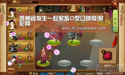 家彩网