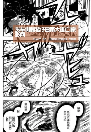 家彩网