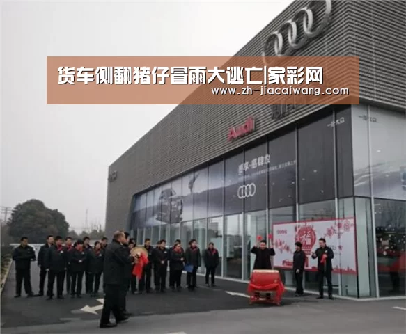 家彩网