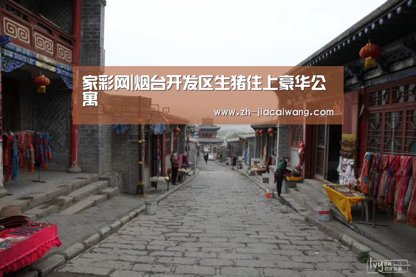 家彩网
