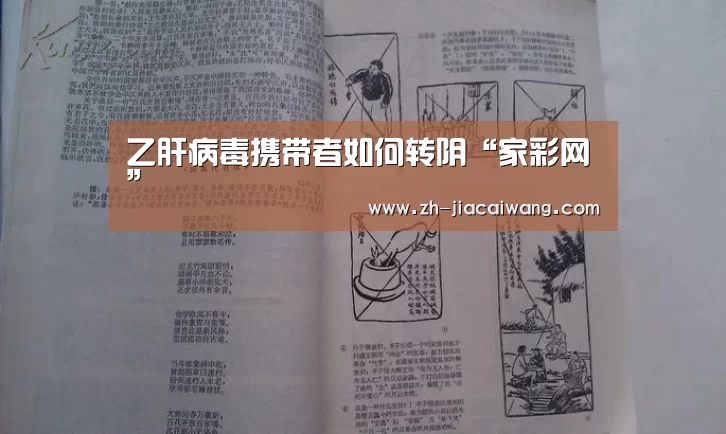 家彩网
