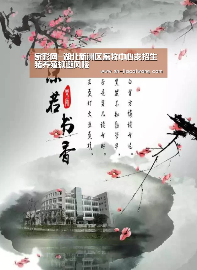 家彩网-湖北新洲区畜牧中心支招生猪养殖规避风险