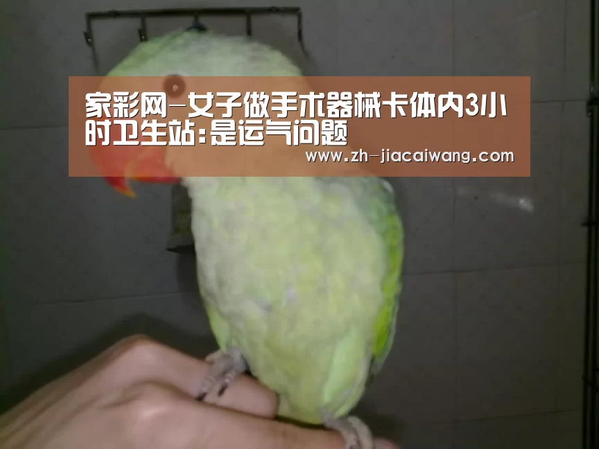 家彩网