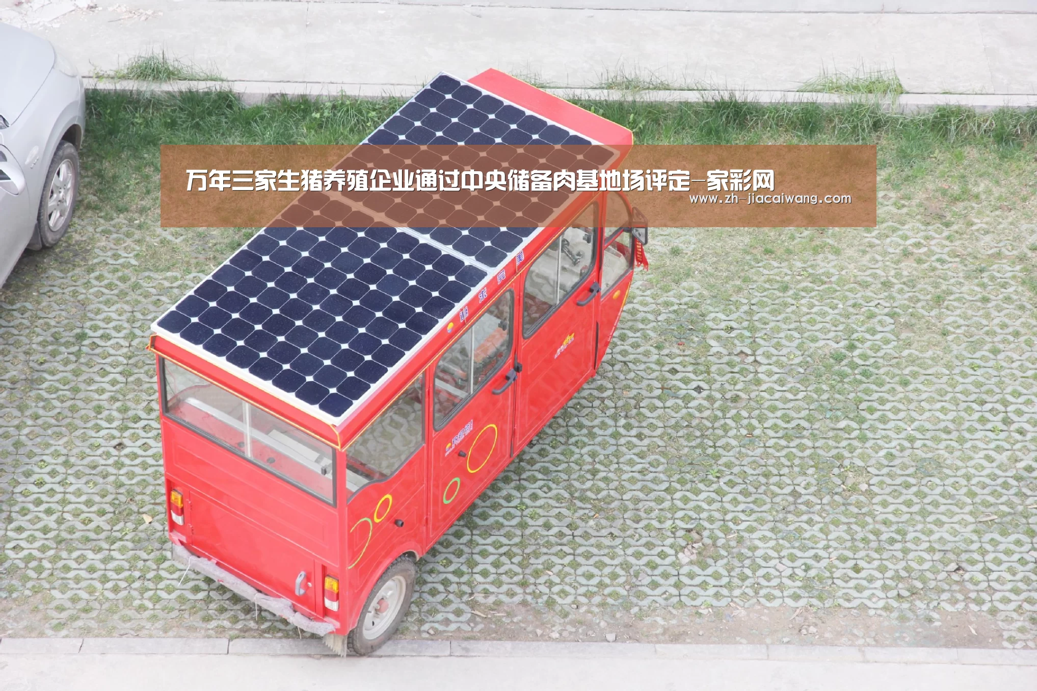 万年三家生猪养殖企业通过中央储备肉基地场评定-家彩网(图2) 家彩网